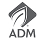 Logo da empresa ADM do Brasil