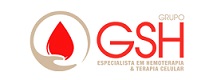 Logo da empresa GGSH PARTICIPAÇÕES S.A
